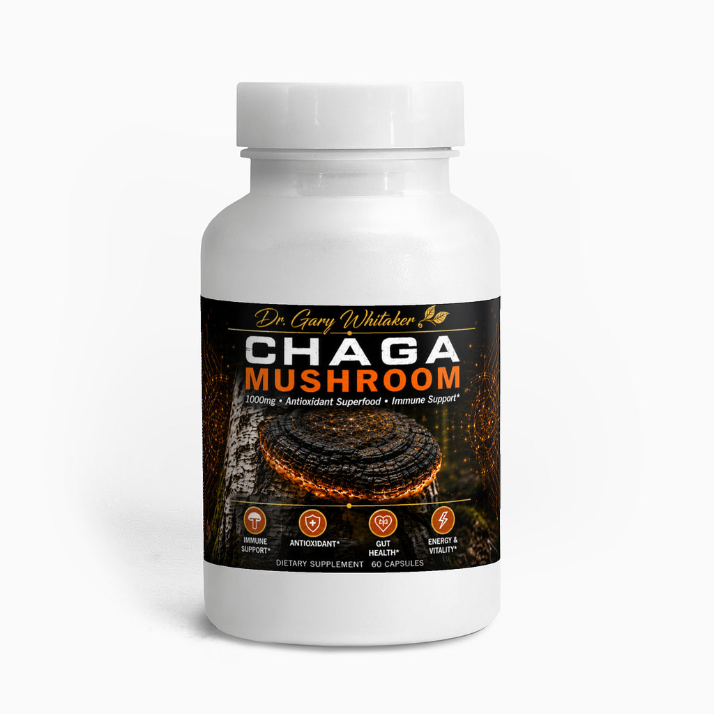 Chaga Mushroom